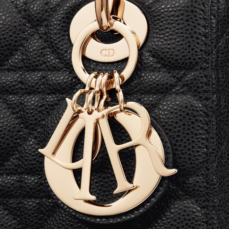 LADY DIOR バッグ スモール